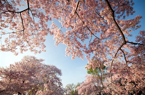 beautiful pictures april