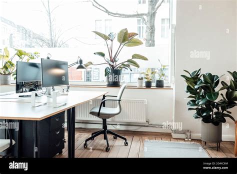 Plants by window and desk in office Stock Photo - Alamy