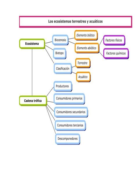 Mapas Conceptuales Biomas Tipos De Ecosistemas Mapa Conceptual Images 184437 Hot Sex Picture