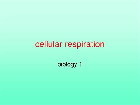 Ppt Cellular Respiration Powerpoint Presentation Free Download Id9082256