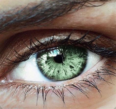 Green Eye Eye Art Beautiful Eyes Color Aesthetic Eyes