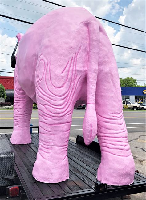 Pink Elephant Back – nashville public art