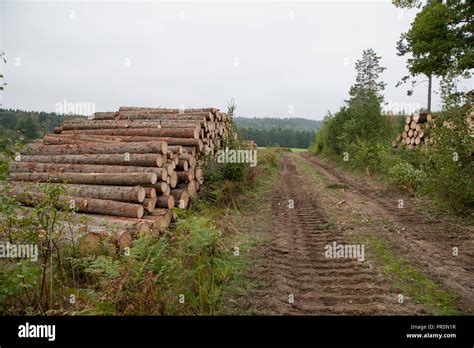 Timber Hi Res Stock Photography And Images Alamy