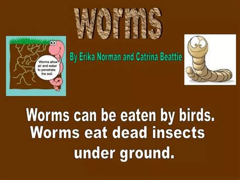 Ppt Worms Powerpoint Presentation Free Download Id1805693