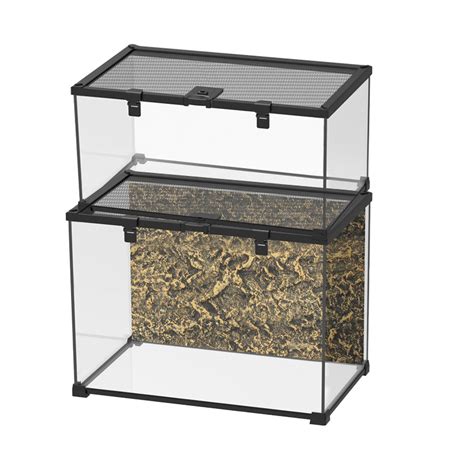 small naturalistic terrarium  small reptiles horned frog small