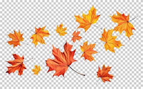 Feuilles D Automne Volant Isol Es Sur Fond Transparent Psd Premium