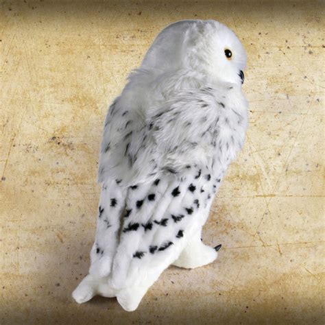 Hedwig Collector's Plush – Curiosa - Purveyors of Extraordinary Things