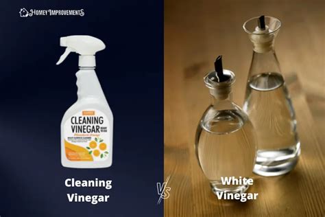 Cleaning Vinegar Vs White Vinegar Which One Should You Use