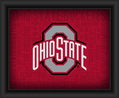 Ohio State University "College Logo Plus Word Clouds" - 15 x 18 Framed ...