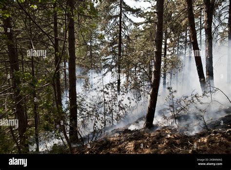 Eight Hundred Hectares Of Mountain Gone Up In Smoke In Laquila Italy