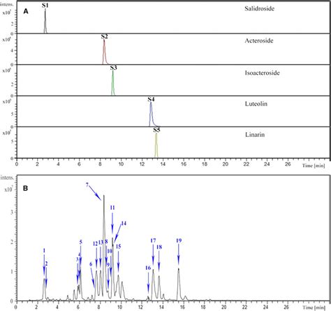 Extracted Ion Chromatograms Of Reference Compounds A And Buddleja