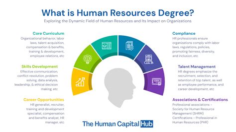 What Is Human Resources Degree