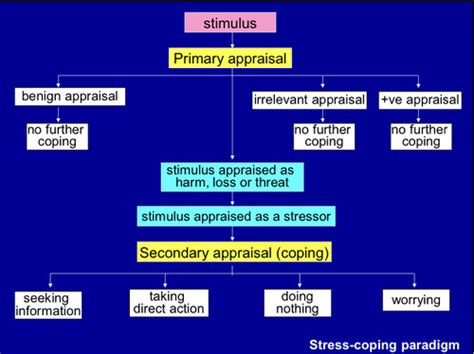 Stress Flashcards Quizlet