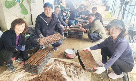 소이면 주민자치회 도농교류행사 용 옥수수 씨앗 파종