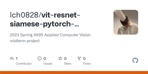 Vit Resnet Siamese Pytorch Huggingface Project Ipynb At Main Lch