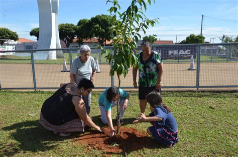 Jornal da Franca Praça da Juventude em Franca recebe plantio de