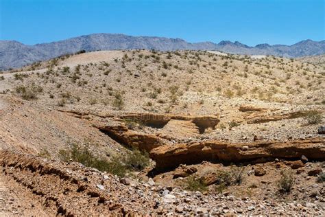 Desert in Southern Nevada stock image. Image of wildness - 76379073