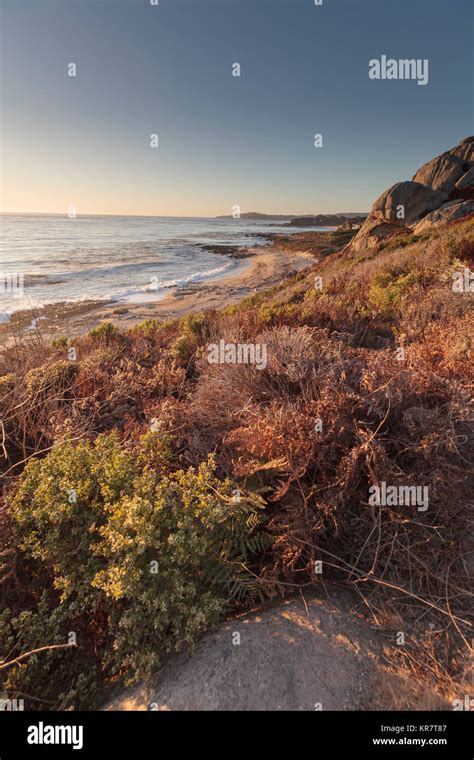 Beach At Carmel On Monterey Peninsula In California Stock Photo Alamy