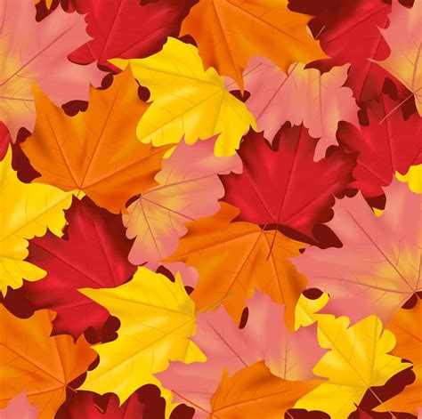 Download Embrace Autumn and its Splendid Colorful Leaves | Wallpapers.com