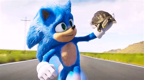 Pin On Sonic This Movie Is Too Cute