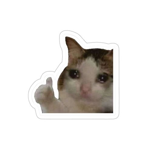 Crying Cat Thumbs Up Vinyl Sticker Funny Sticker Cat Sticker Meme