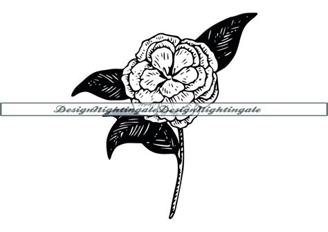 Camellia 2 Svg Camellia Flower Svg Flower Svg Camellia Clipart