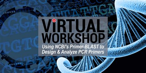 Using NCBI’s Primer-BLAST to design and analyze PCR primers - NCBI Insights