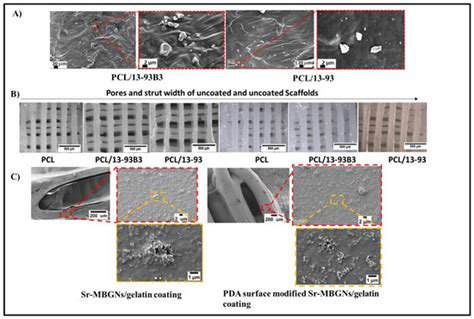 Materials Free Full Text Surface Modification Of 3d Printed Pclbg Composite Scaffolds Via