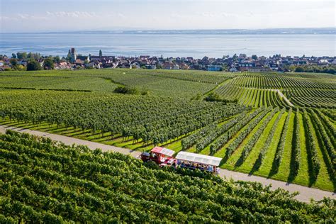 Hagnauer Wein