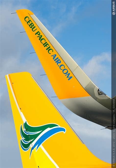 Get Cebu Pacific Air Logo Png - Tong Kosong