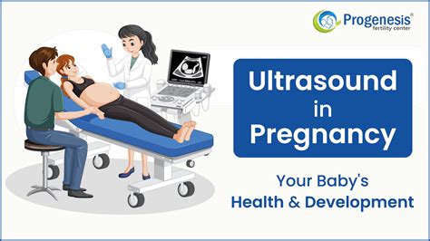 Ultrasound In Pregnancy Your Baby S Health And Development