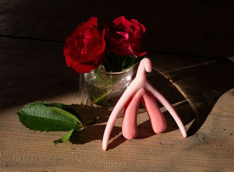 3d Clitoris Model Real Size Etsy