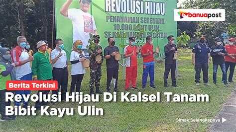 REVOLUSI HIJAU DI KALSEL TANAM BIBIT KAYU ULIN YouTube