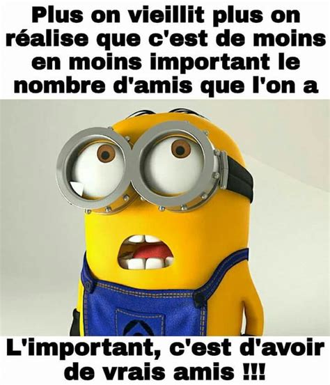 Les Minions Minions Pinterest Blague Con Citation Et Saint Yves