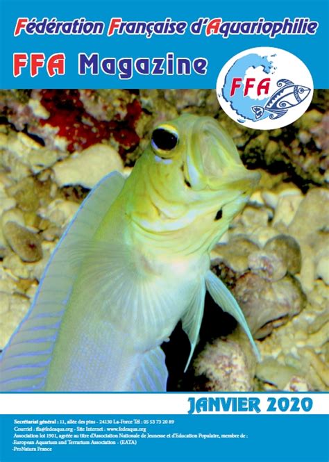 Ffa Magazine Janvier 2020