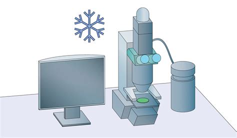 冷冻电镜cryo Em冷冻电镜测试 测试狗科研服务