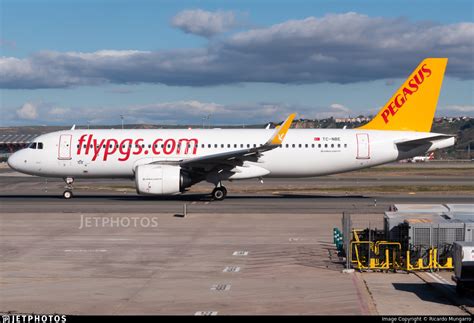 Tc Nbe Airbus A N Pegasus Airlines Ricardo Mungarro Jetphotos