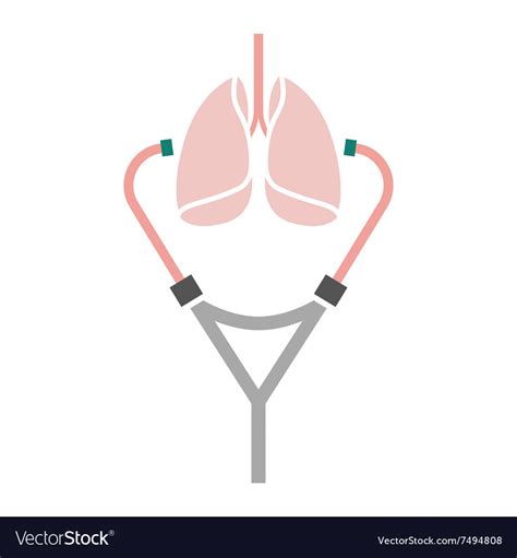 Stethoscope Lungs Icon Royalty Free Vector Image