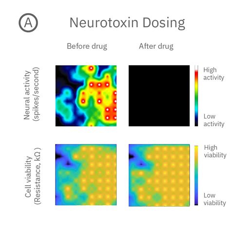 Neurotoxicology And Safety Assays Axion Biosystems