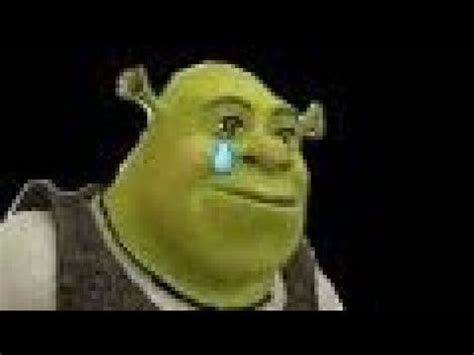 Shrek hallelujah scene but with sad ninja hours playing instead ...