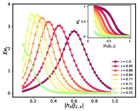 Ferromagnetic Susceptibility The Ferromagnetic Susceptibility M X