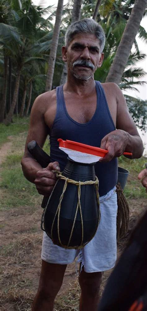 Toddy In Kerala Keralas Iconic Alcoholic Beverage Holidify