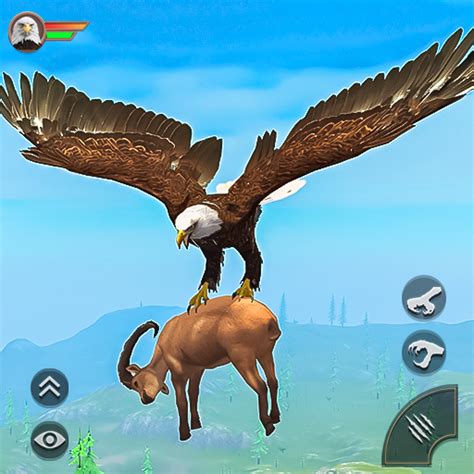 Eagle Simulator Eagle Games Apps On Google Play