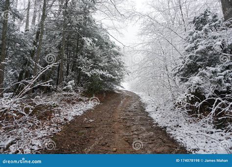 Snowy Winter View of Blue Ridge Mountains in Asheville, North Carolina ...