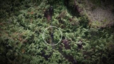 Kejadian Langka Di Hutan Papua Pentolan OPM Muncul Bawa Parang Bantu