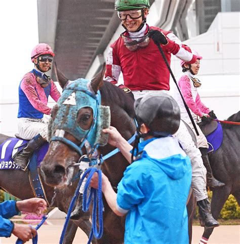 【毎日ベスト3】中山グランドjの「連覇」ベスト3 毎日ベスト3 競馬コラム写真ニュース 日刊スポーツ