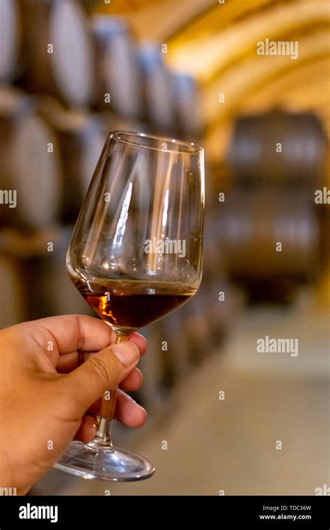 Tasting Of Fortified Dry Or Sweet Marsala Wine In Vintage Wine Cellar