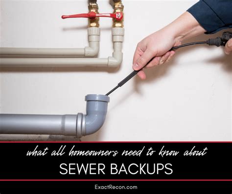 What All Homeowners Need To Know About Sewer Backups Exact Recon