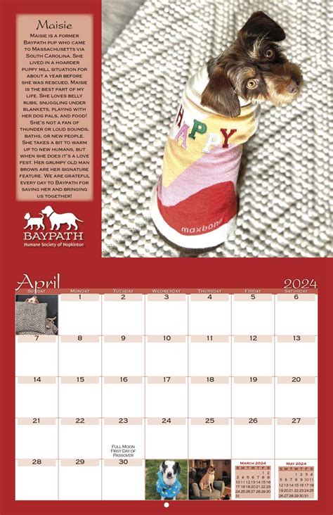 Baypath Humane Society 2025 Calendar Yearbox Calendars