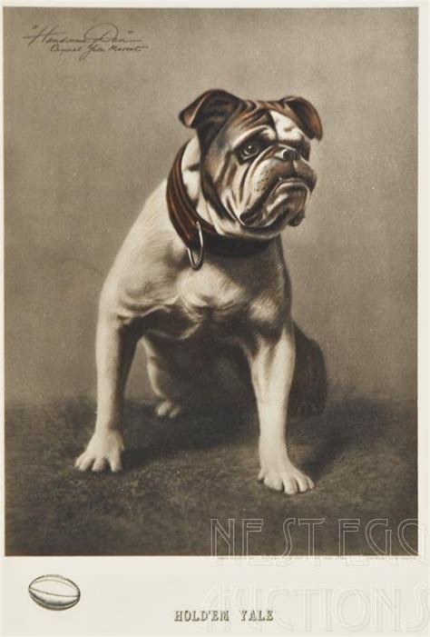 Handsome Dan Bulldog Yale University Mascot - Dec 08, 2012 | Nest Egg Auctions in CT